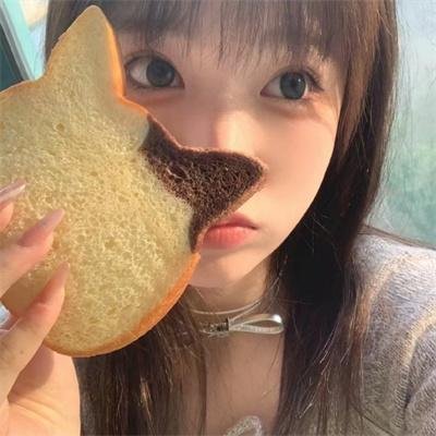 兔子 在线观看